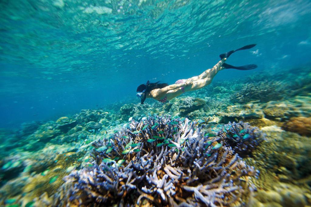 Mantaray Island Resort Нануя-Балаву-Айленд Экстерьер фото