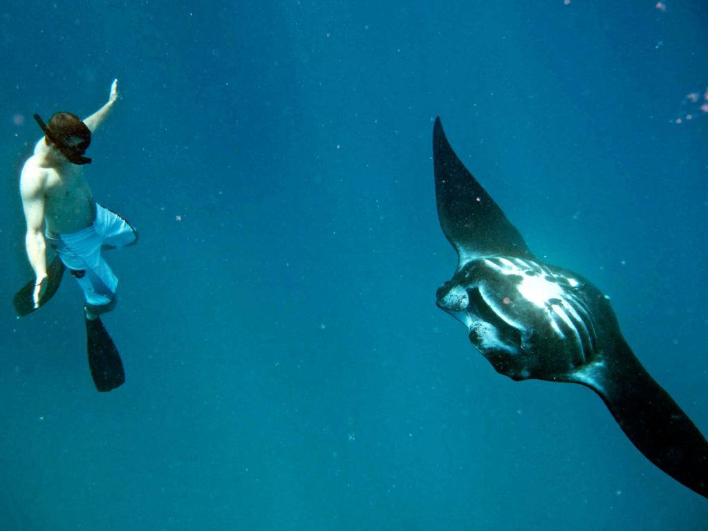 Mantaray Island Resort Нануя-Балаву-Айленд Экстерьер фото